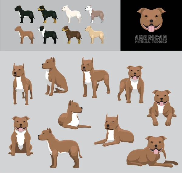 Dog American Pitbull Terrier Cartoon Vector Illustration Color Variation Set — Stockvector