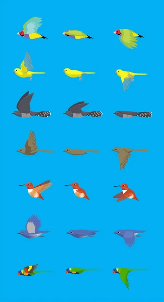 Various Bird Flying Sequence Cute Cartoon Vector Illustration Finch Canary — Wektor stockowy