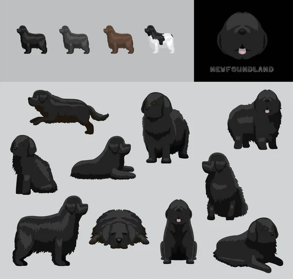 Собака Ньюфаундленд Мультфільм Векторні Ілюстрації Кольорові Варіації Набір — стоковий вектор