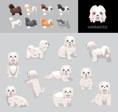 Dog Havanese Cartoon Vector Illustration Color Variation Set