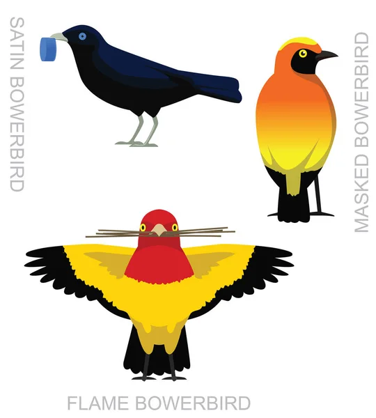 Cute Bird Bowerbird Set Cartoon Vector — Vetor de Stock