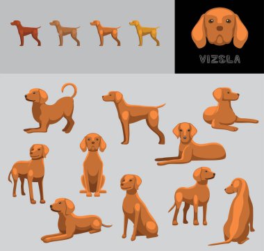 Dog Vizsla Cartoon Vector Illustration Color Variation Set