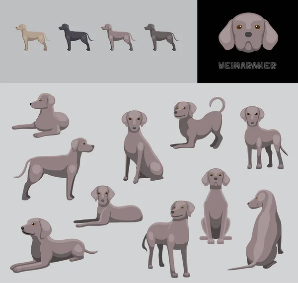 Собака Weimaraner Мультфільм Векторні Ілюстрації Кольорові Варіації Набір — стоковий вектор