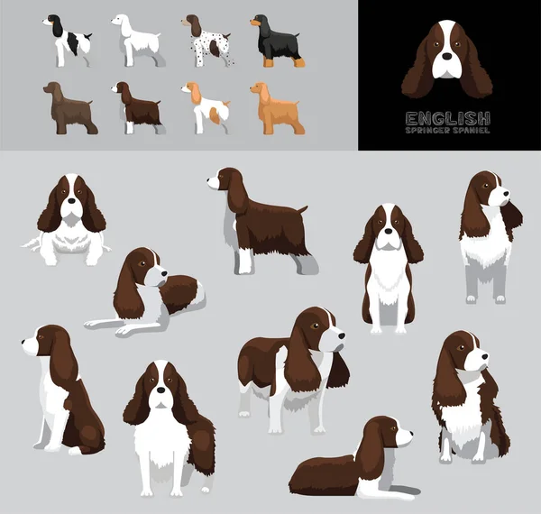 Dog English Springer Spaniel Cartoon Vector Illustration Color Variation Set — Vetor de Stock