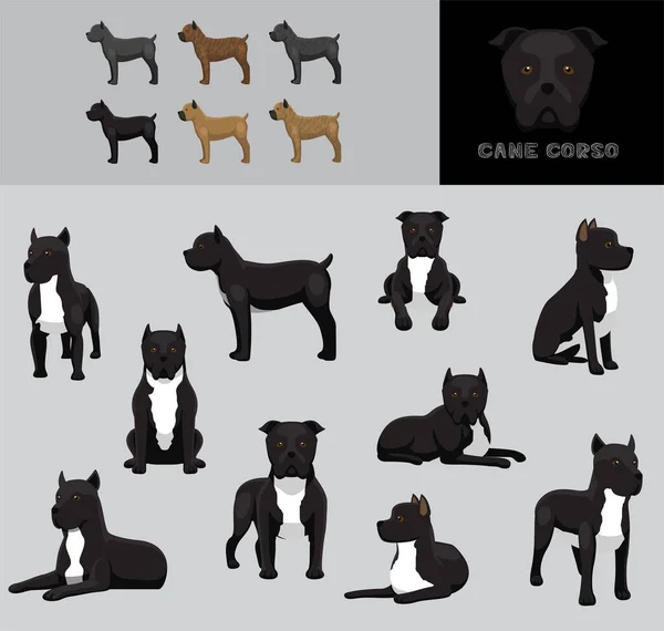 Dog Cane Corso การ นเวกเตอร ภาพประกอบส — ภาพเวกเตอร์สต็อก