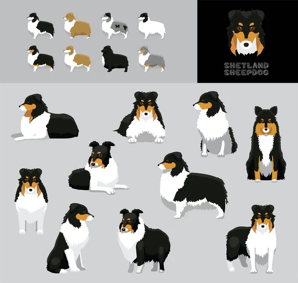 Dog Shetland Sheepdog การ นเวกเตอร ภาพประกอบช — ภาพเวกเตอร์สต็อก