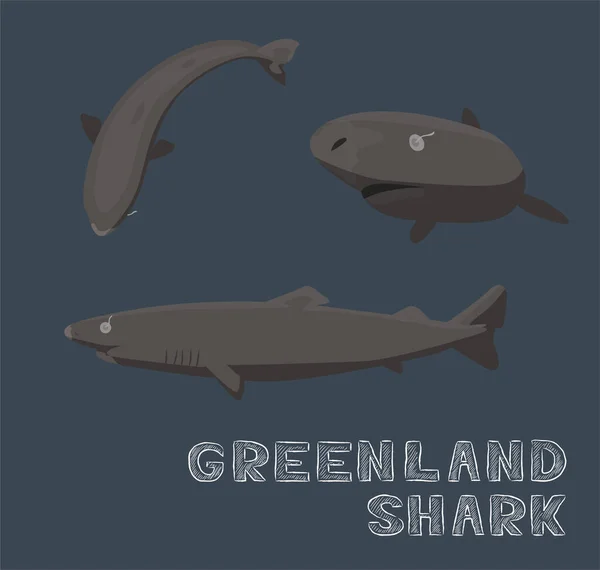 Greenland Shark การ นเวกเตอร ภาพประกอบ — ภาพเวกเตอร์สต็อก