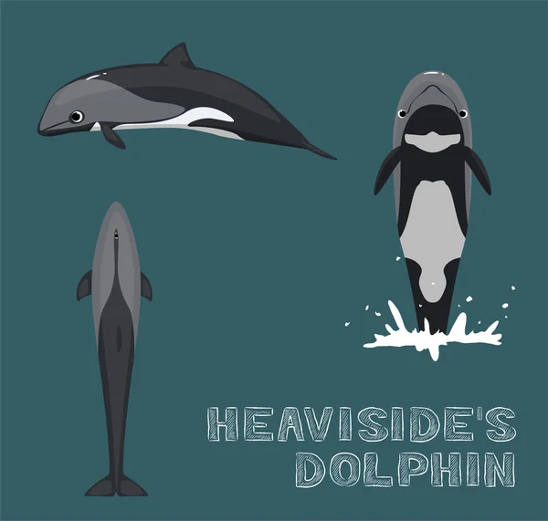 Heaviside Dolphin Cartoon Vector Illustration — Vector de stock