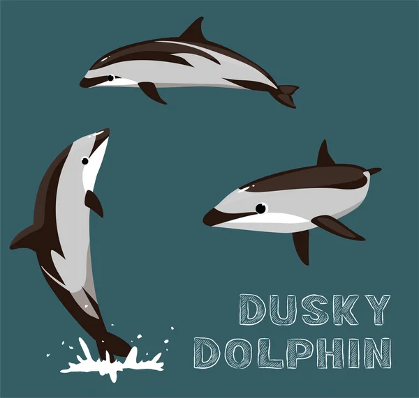 Dusky Dolphin Cartoon Vector Illustration — стоковый вектор