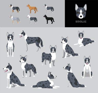 Dog Koolie Cartoon Vector Illustration Color Variation Set