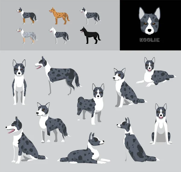 Dog Koolie Cartoon Vector Illustration Color Variation Set — Stockvektor