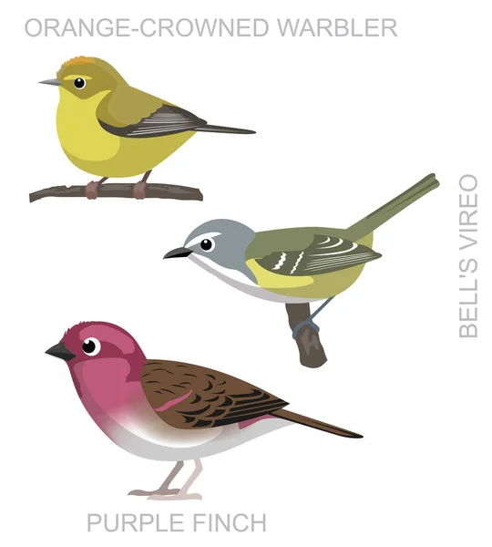 Pássaro Bonito Laranja Coroado Warbler Bell Vireo Purple Finch Set —  Vetores de Stock