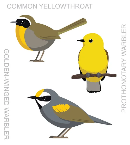 Симпатичный Bird Common Yellowthrow Prothonotary Warbler Set Cartoon Vector — стоковый вектор