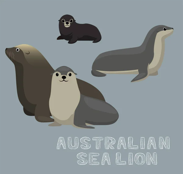 Australian Sea Lion Cartoon Vector Ilustração — Vetor de Stock