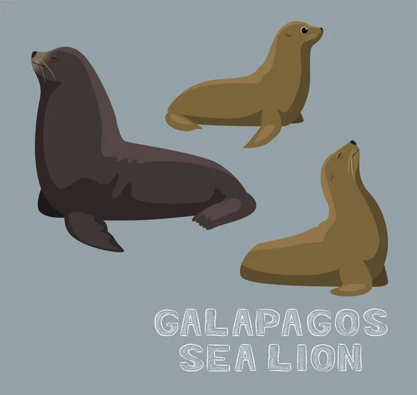 Galapagos Sea Lion การ นเวกเตอร ภาพประกอบ — ภาพเวกเตอร์สต็อก