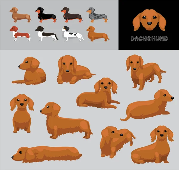 狗Dachshund长发卡通矢量图解颜色变化集 — 图库矢量图片