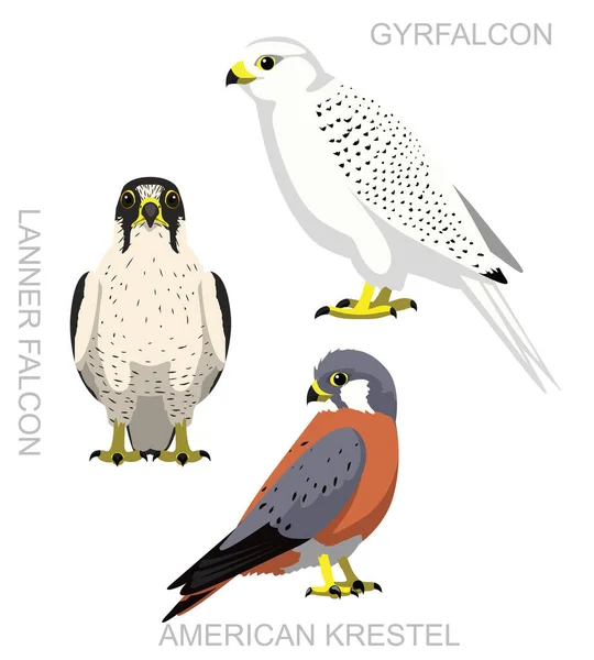 Lindo Pájaro Halcón Halcón Gyrfalcon Conjunto Dibujos Animados Vector — Archivo Imágenes Vectoriales