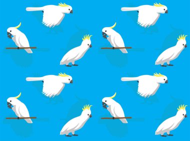 Sülfür Tepeli Kakadu Çizgi Film Karakteri Kusursuz Duvar Kağıdı Arkaplanı 2