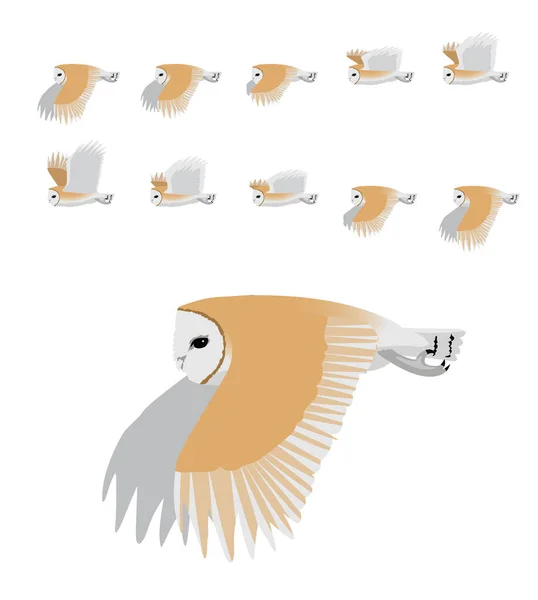 Carn Owl Flying Animation Sequence Cartoon Vector — стоковый вектор