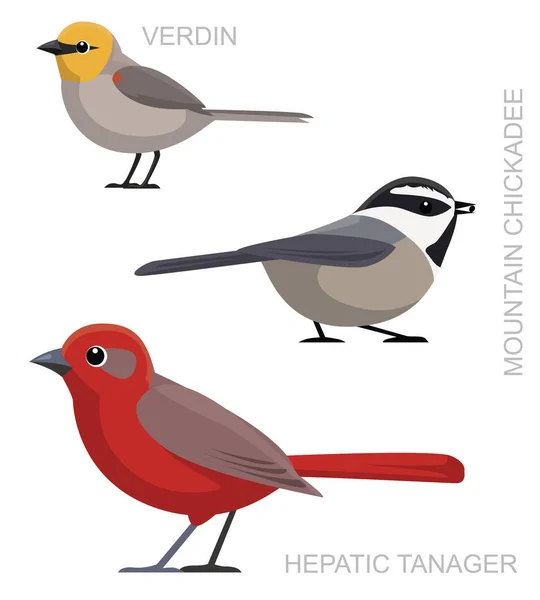 Carino Uccello Verdin Tanager Pollastrella Impostare Cartone Animato Vettoriale — Vettoriale Stock