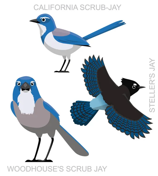 Roztomilý Ptačí Drhnutí Jay Set Cartoon Vector — Stockový vektor