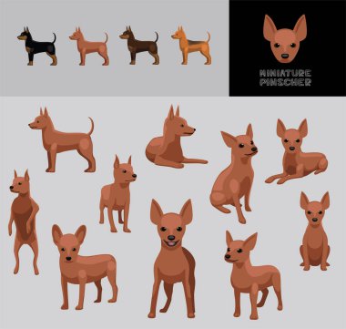 Köpek Minyatür Pinscher Kahverengi Ceket Çizgi Filmi Vektör Çizim Rengi Değişikliği