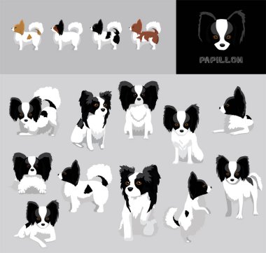 Köpek Papillon Siyah Ceket Çizgi Filmi Vektör Resimleri Renk Değişikliği Ayarları