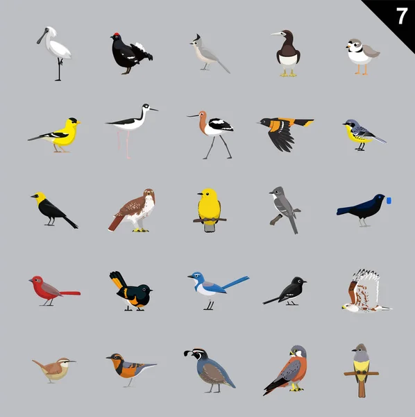 Verschiedene Vögel Cartoon Vector Illustration — Stockvektor