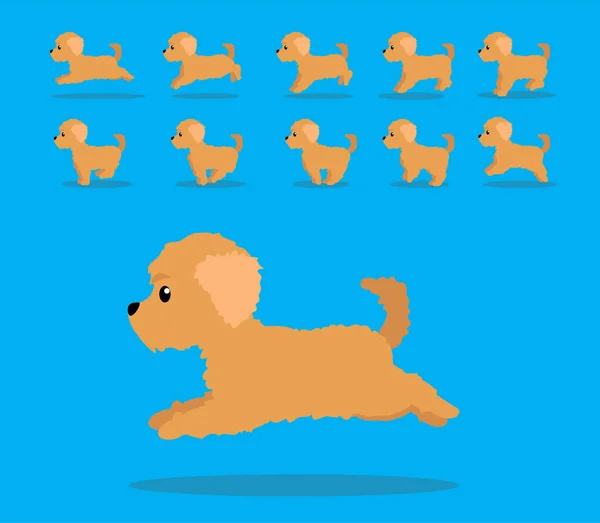 Sekwencja Animacji Zwierząt Pies Labradoodle Cartoon Vector — Wektor stockowy