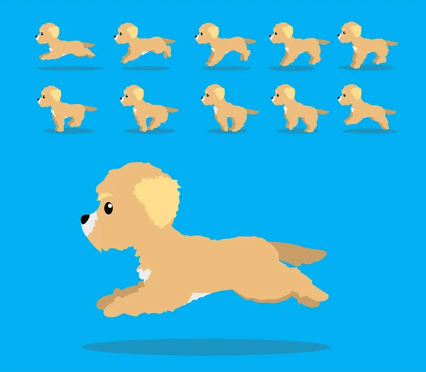 Sekwencja Animacji Zwierzęcej Pies Goldendoodle Wektor Kreskówki — Wektor stockowy