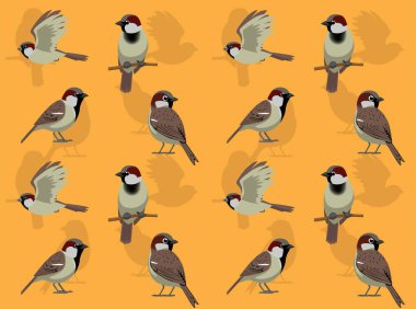 House Sparrow Şirin Çizgi Film Karakterini Kusursuz Duvar Kağıdı Arkaplanına Yerleştirdi