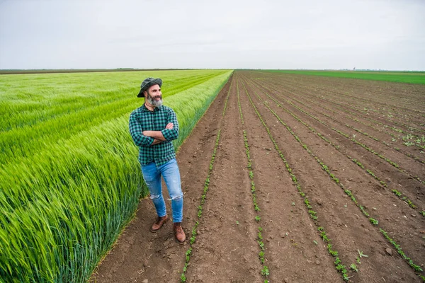 Feliz Granjero Está Parado Lado Campo Trigo — Foto de Stock