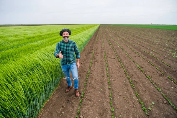 Feliz Granjero Mostrando Pulgar Hacia Arriba Mientras Está Pie Junto — Foto de Stock