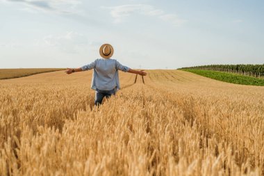 Happy farmer with arms outstretched standing in his growing wheat field.