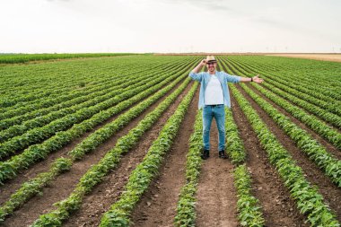 Mutlu çiftçi büyüyen soya fasulyesi tarlasını gösteriyor..