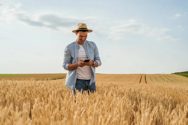 Agricultor Usando Telefone Celular Enquanto Está Seu Campo Trigo Crescente — Fotografia de Stock
