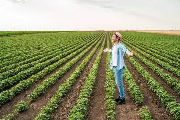 Feliz Granjero Con Los Brazos Extendidos Pie Creciente Campo Soja — Foto de Stock