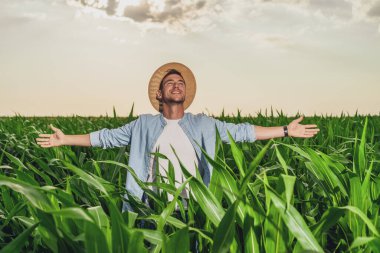 Büyüyen mısır tarlasında kollarını açmış mutlu bir çiftçi..