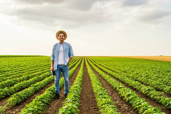 Happy Farmer Standing His Growing Soybean Field — Stock Photo, Image