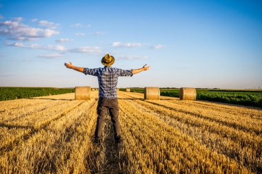 Başarılı hasattan sonra saman balyalarının yanında duran kollarını açmış mutlu çiftçi..