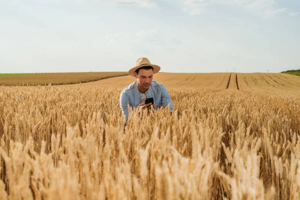 Agricultor Usando Telefone Celular Enquanto Está Seu Campo Trigo Crescente — Fotografia de Stock