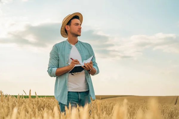 Agricultor Escrevendo Notas Enquanto Está Seu Campo Trigo Crescente — Fotografia de Stock