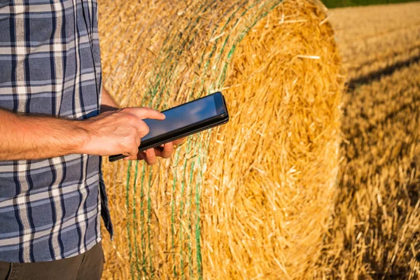 Digitális Tablettát Használó Mezőgazdasági Termelő Sikeres Betakarítás Utáni Szalma Vizsgálata — Stock Fotó