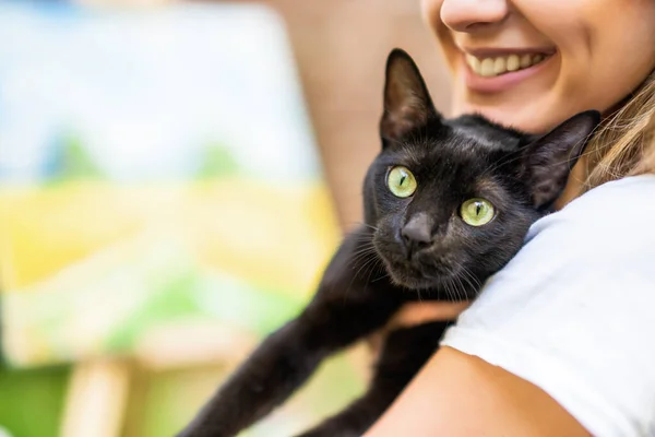 Beautiful Black Cat Arms Her Owner — Foto de Stock