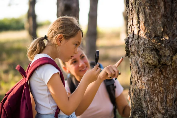 Klein Meisje Verkennen Met Vergrootglas Natuur Tijdens Het Wandelen Met — Stockfoto