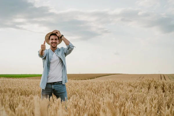 Happy Farmer Showing Thumb While Standing His Growing Wheat Field — Fotografia de Stock