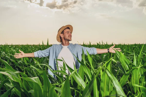 彼の成長するトウモロコシ畑で腕が卓越している幸せな農家 — ストック写真