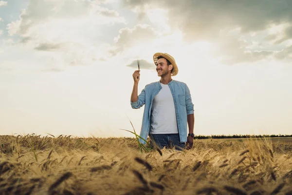 Agricultor Feliz Está Seu Campo Cevada Crescente Examinando Culturas Após — Fotografia de Stock