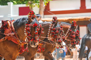 Jerez de la Frontera Cadiz 'deki panayırda at arabasının başındaki süsler.