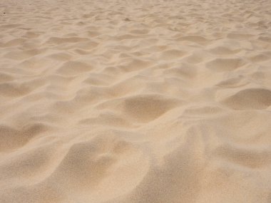 Natural texture background of fine clear beach sand and dune